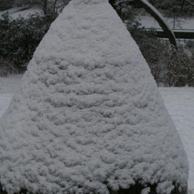 NASHER-snow-2.13-140_7