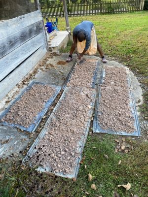 Spreading the rock to dry