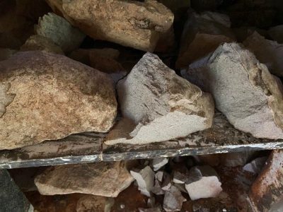 Close up of calcified rock