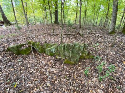 Chandler Rock outcrop